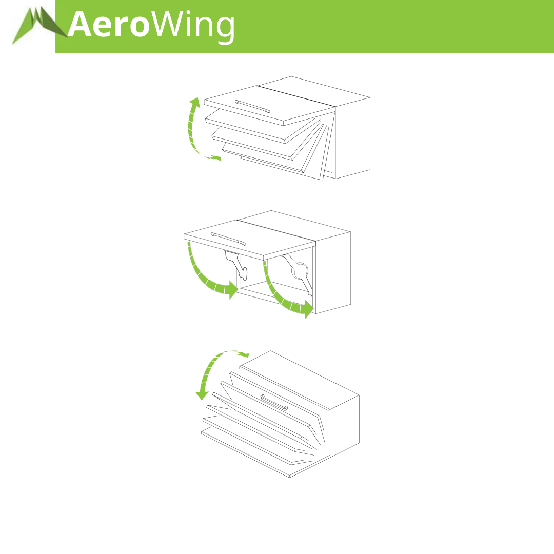 AeroWingSite